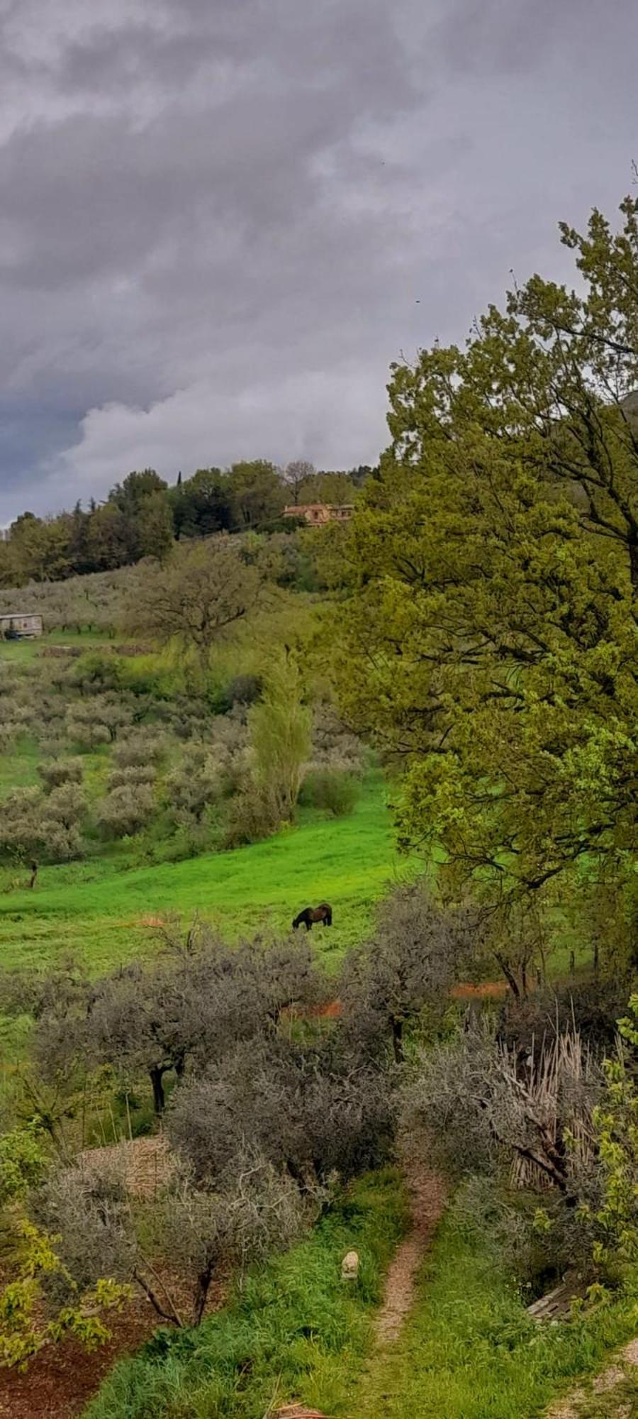 B&B Il Sentiero Di Ασίζη Εξωτερικό φωτογραφία