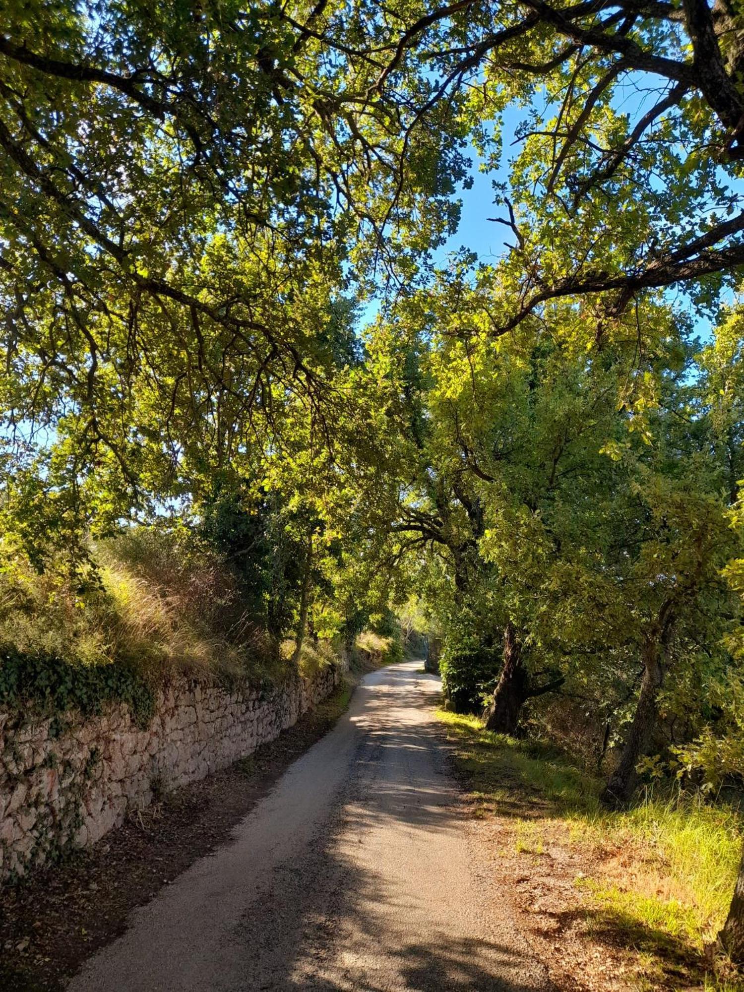 B&B Il Sentiero Di Ασίζη Εξωτερικό φωτογραφία