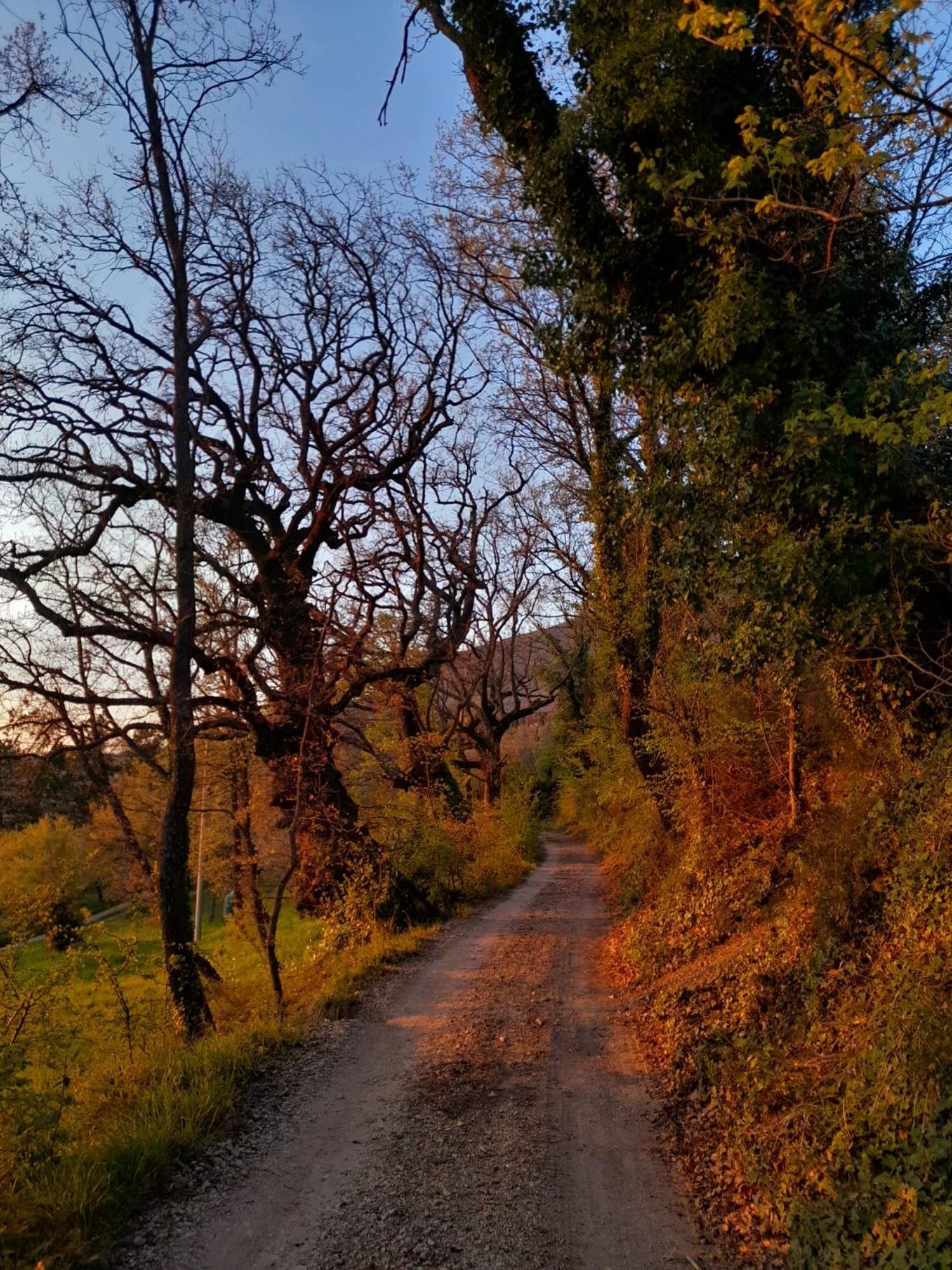 B&B Il Sentiero Di Ασίζη Εξωτερικό φωτογραφία
