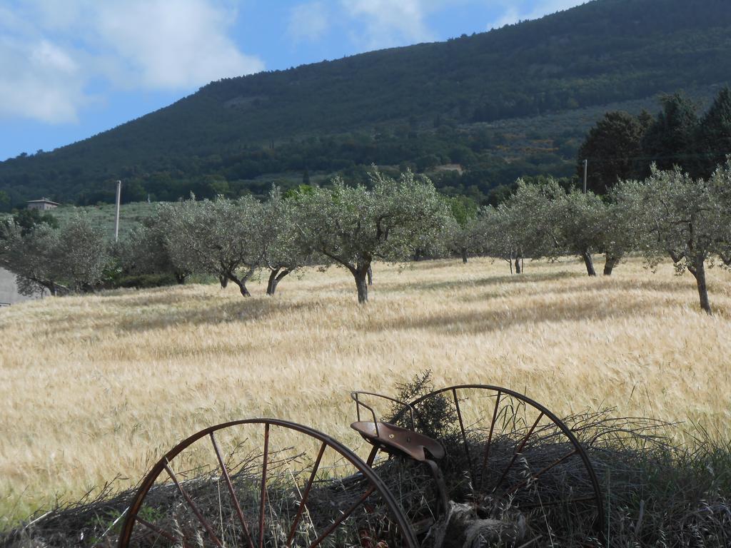 B&B Il Sentiero Di Ασίζη Εξωτερικό φωτογραφία