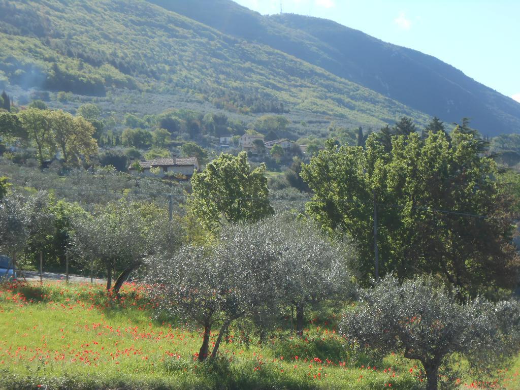 B&B Il Sentiero Di Ασίζη Εξωτερικό φωτογραφία