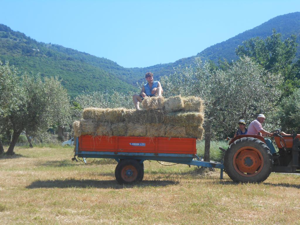 B&B Il Sentiero Di Ασίζη Εξωτερικό φωτογραφία