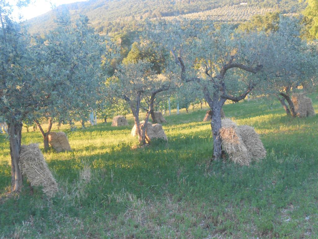 B&B Il Sentiero Di Ασίζη Εξωτερικό φωτογραφία