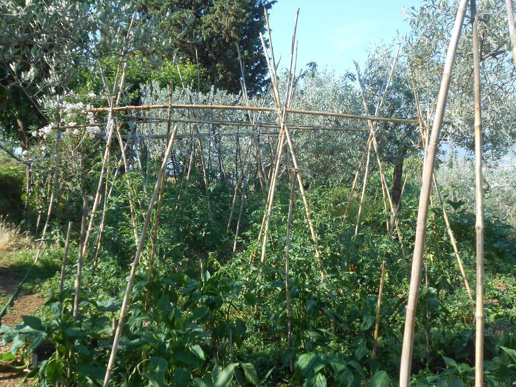 B&B Il Sentiero Di Ασίζη Εξωτερικό φωτογραφία