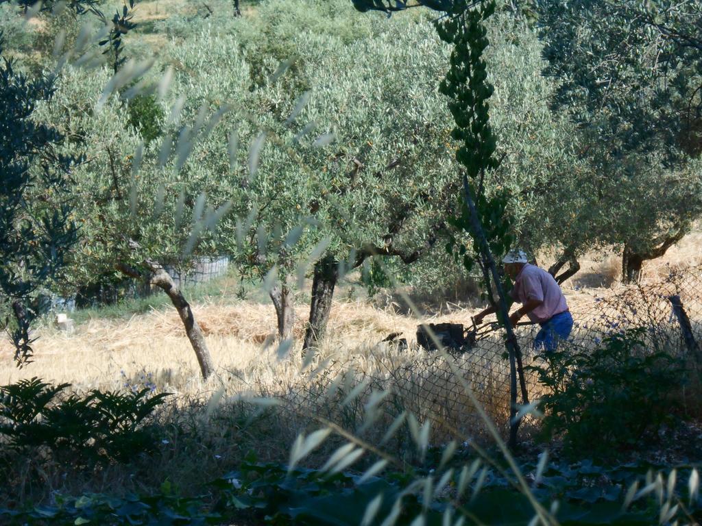 B&B Il Sentiero Di Ασίζη Εξωτερικό φωτογραφία