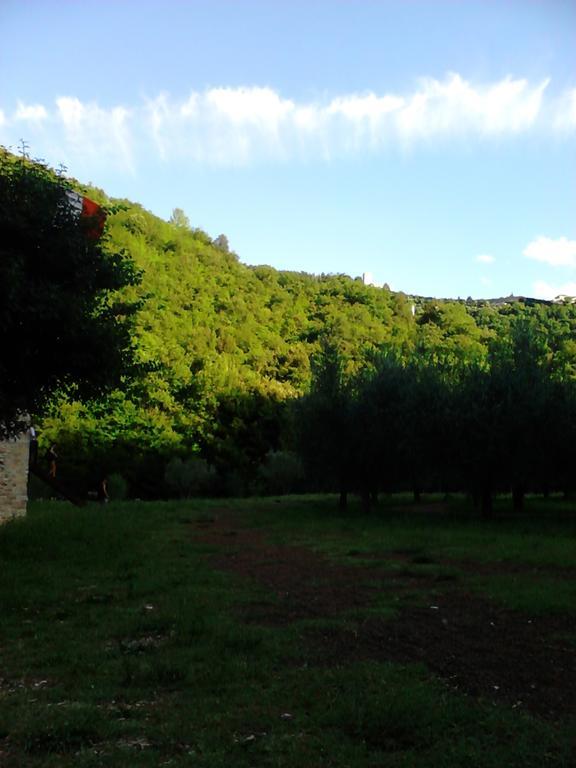 B&B Il Sentiero Di Ασίζη Εξωτερικό φωτογραφία